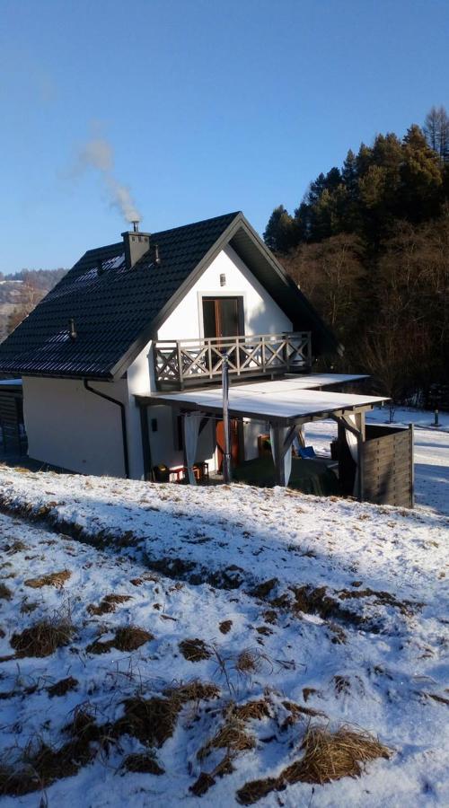 Lesny Zaulek Villa Muszyna Eksteriør billede
